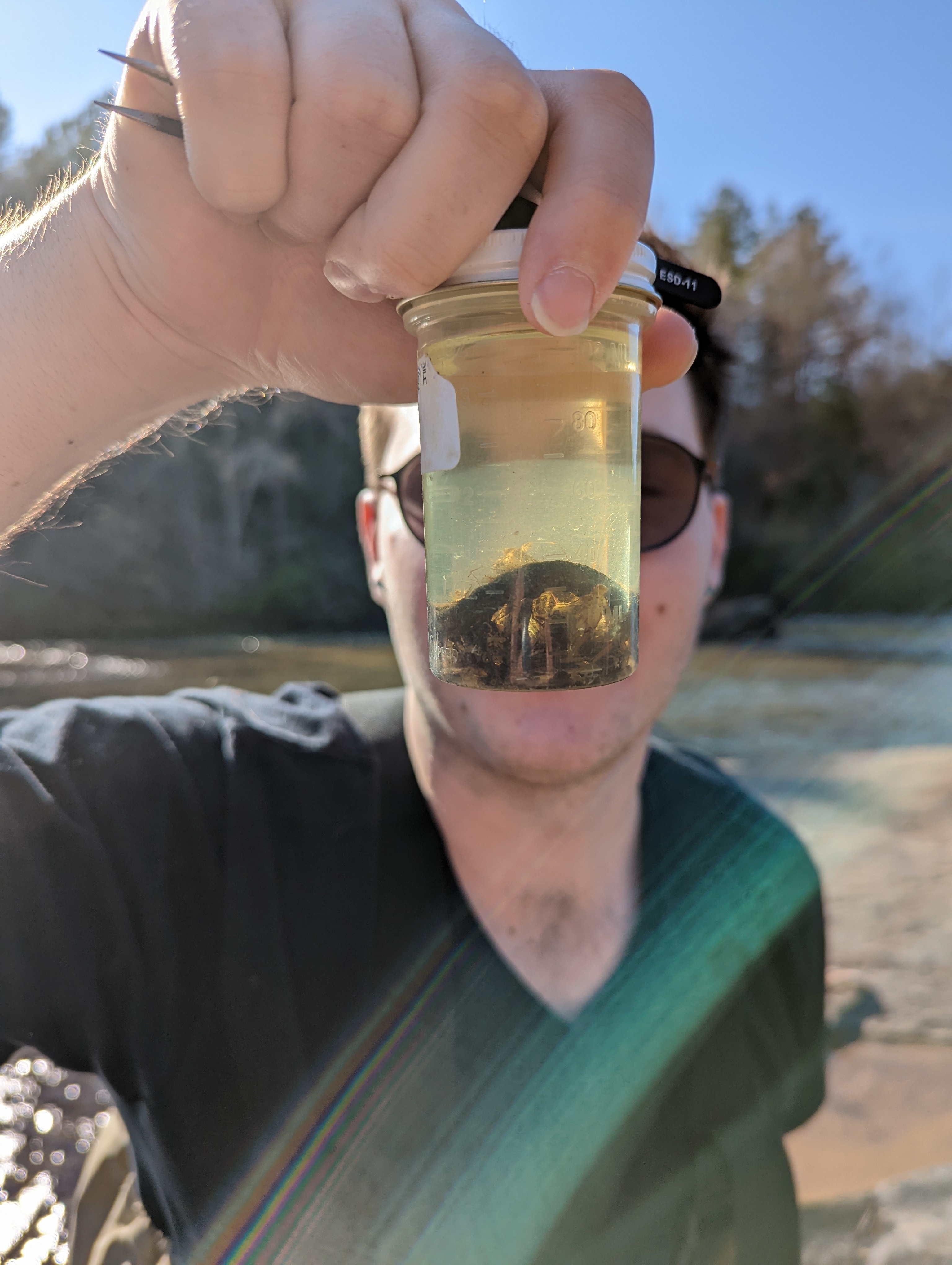 a large vial filled with ethyl alcohol, holding an immense hellgrammite. It is visible among many other, smaller bugs at the bottom of the vial.
